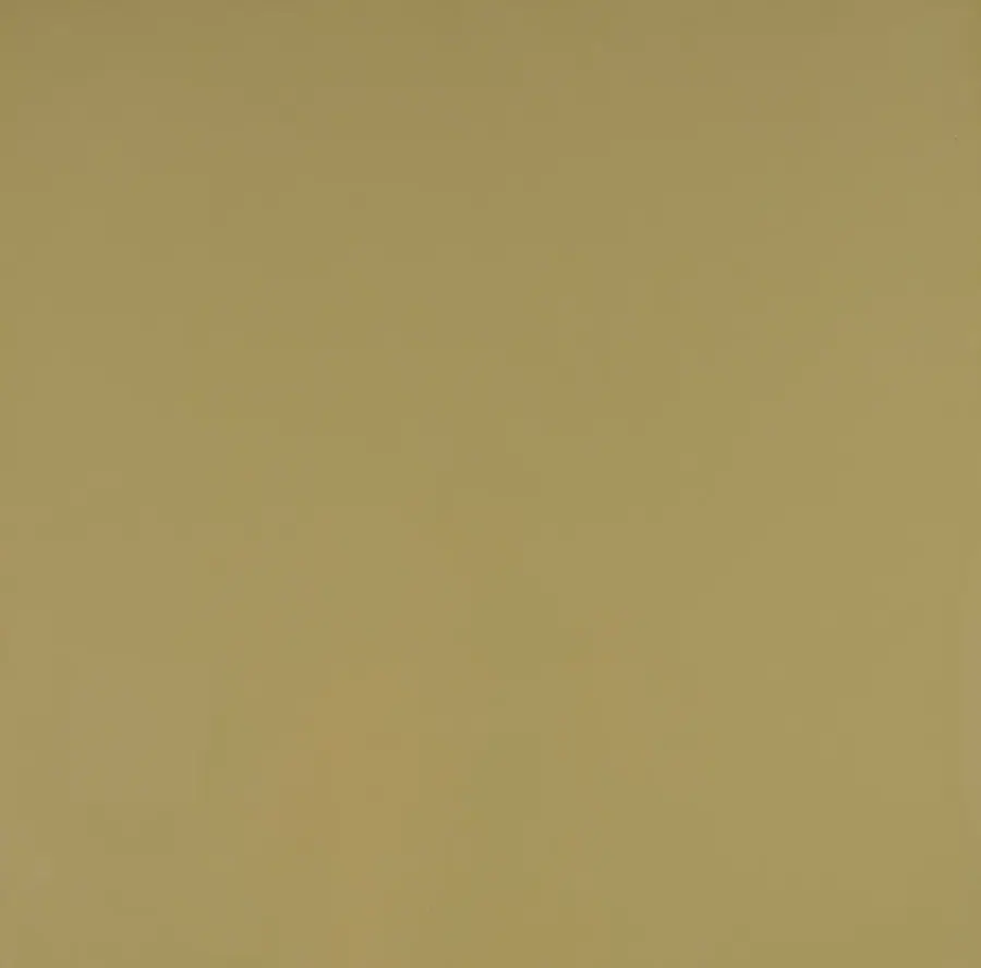 Porcelanato Green PT60435