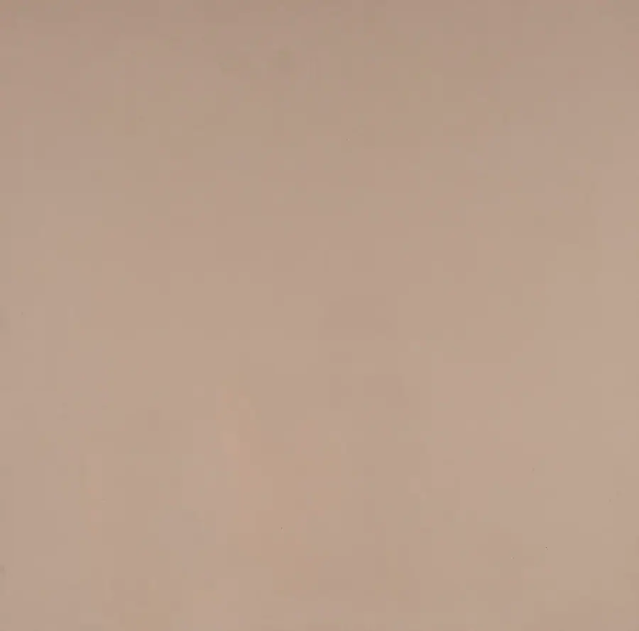 Porcelanato Ivory White PT6000A