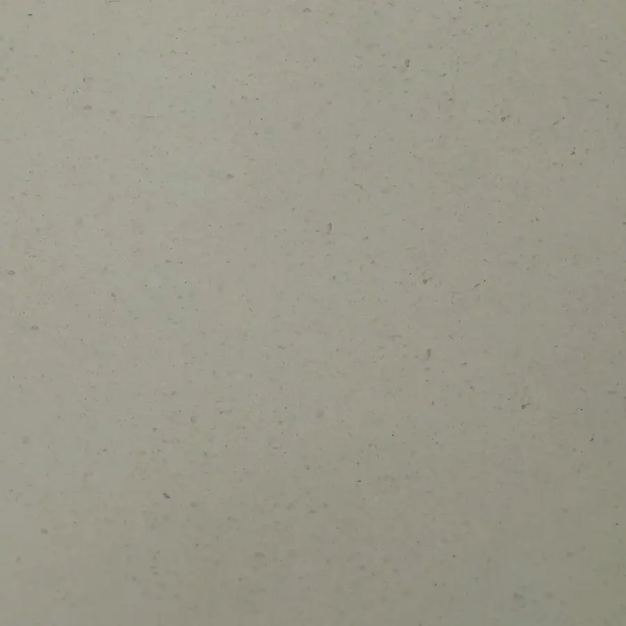 Porcelanato Mate Andina BG PT6631
